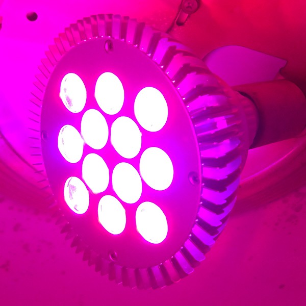 Test av växtlampan Solaris Persona 12W LED E27